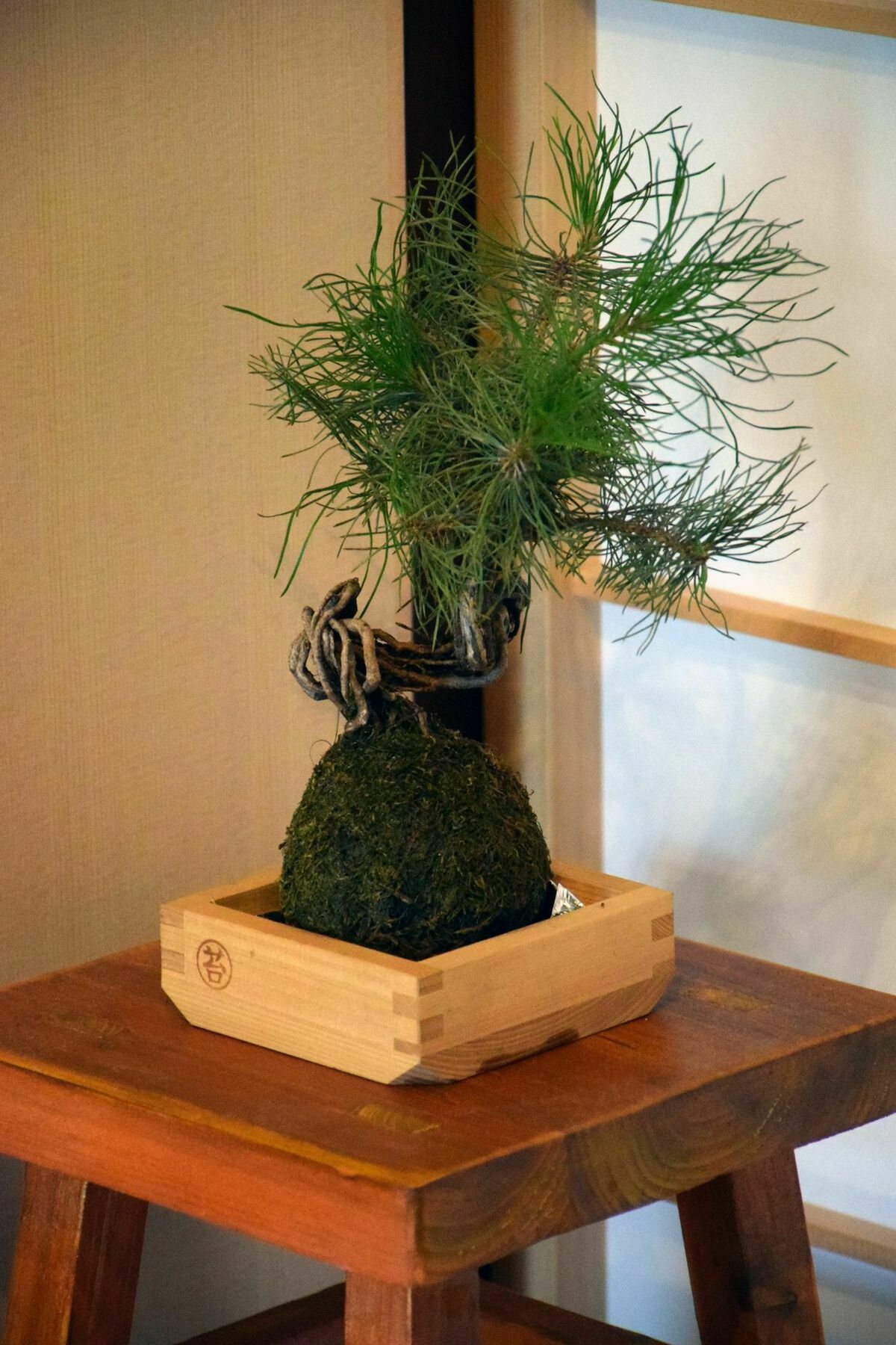 Guesthouse Hanamiya Kyoto Ngoại thất bức ảnh
